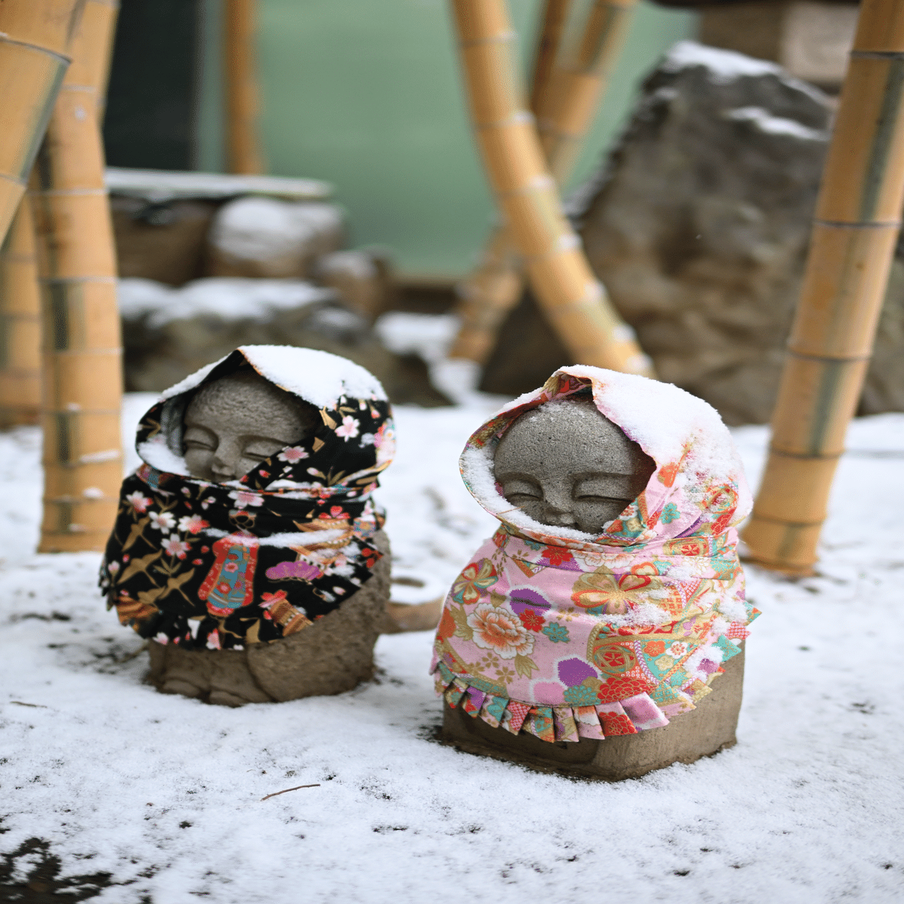 写真日記2 / 雪の日、その次の日｜青山泰文