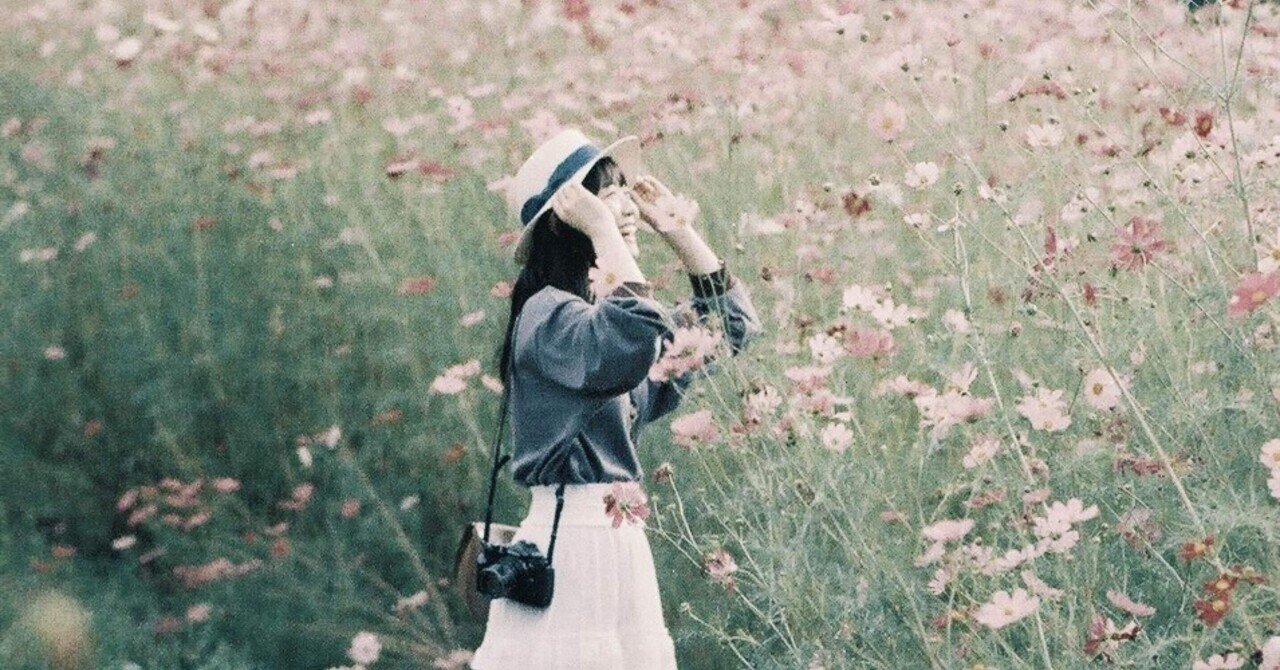 写真がら見てください フィルム写真のあり方について思うこと （高解像度主義に傾倒しつつ