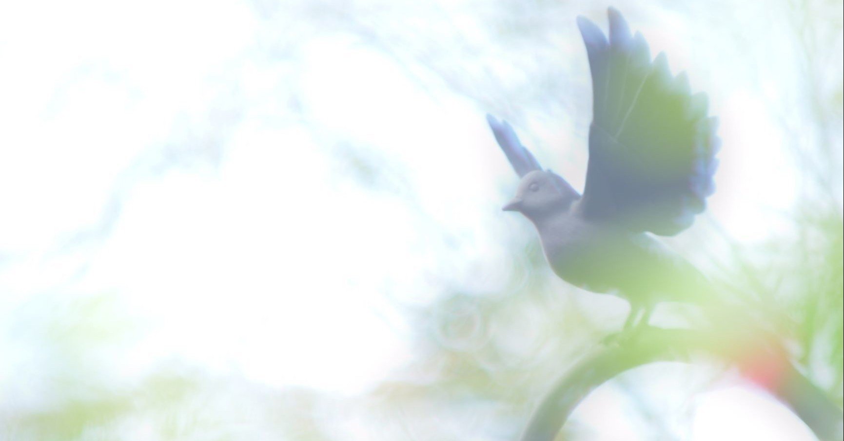 鳥たちが天地に自由に舞う二つのcgアニメーション ブルー と ハッピー フィート ドント ウォーリー Note