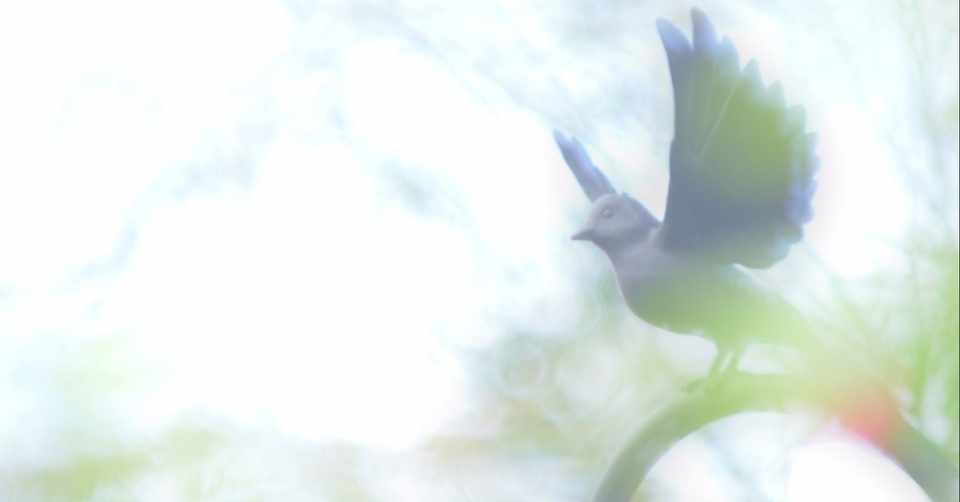 鳥たちが天地に自由に舞う二つのcgアニメーション ブルー と ハッピー フィート ドント ウォーリー Note