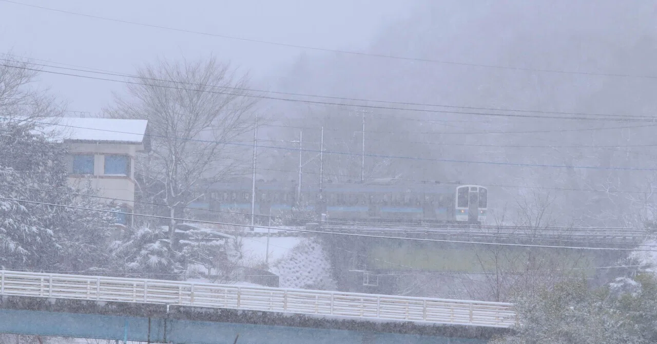 今年も山梨で雪と211系｜nagano_color211