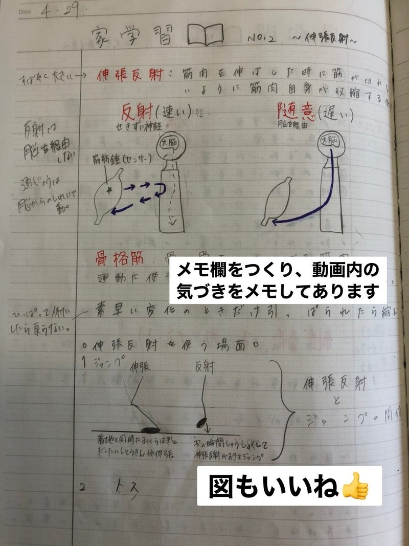 画像をダウンロード バレーボール イラスト 書き方 人気の壁紙画像