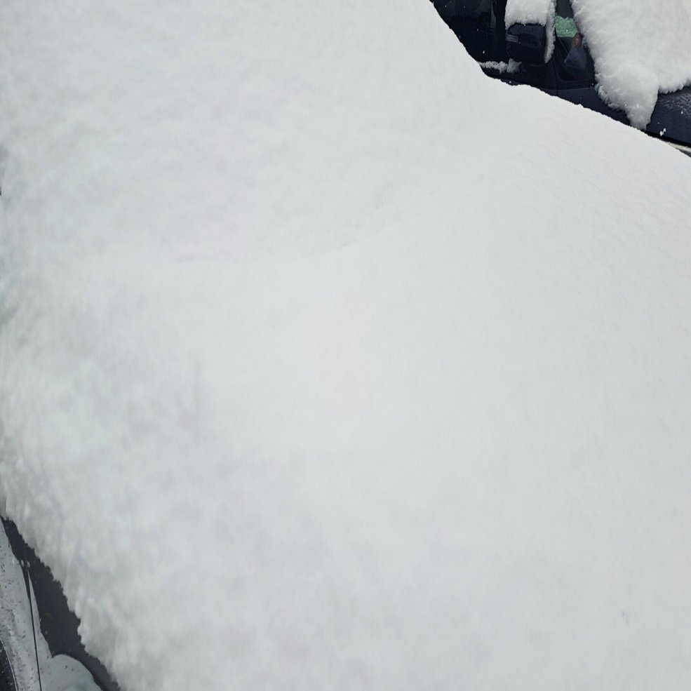 昨日の雪はまだそこに｜みかん