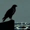 birdman｜介護職の現場設計