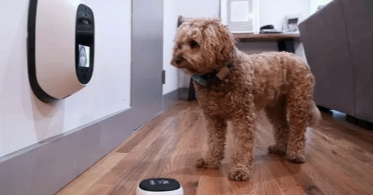 Pet Technology Market Size, Trends, and Growth Forecast (2026-2033 ...