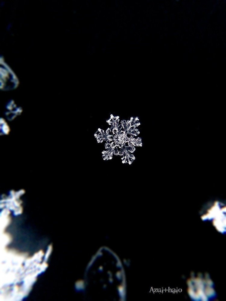 昨日（ https://note.mu/azulfabrica/n/n58cda3ba9d58 ）の続きで2/11撮影の結晶です。こちらはゴージャス系な六花を集めています。