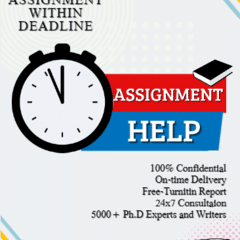 Management Assignment Help