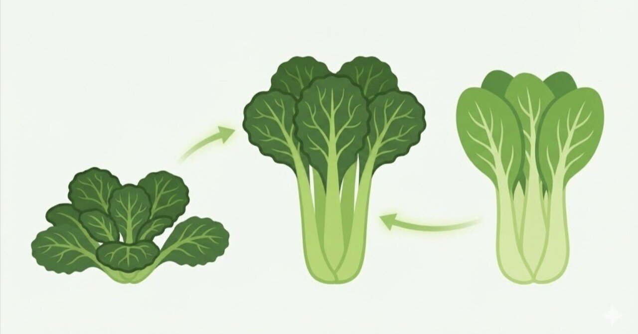 時代に合わせて大きく形を変えたハイブリッド~小松菜｜久松農園