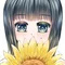 星月イルカ