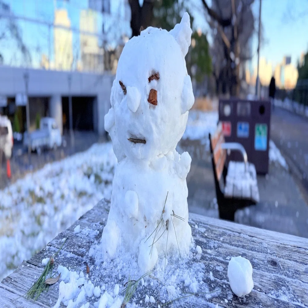スマホ写真】おさんぽ雪だるま｜Yukihiro🧸