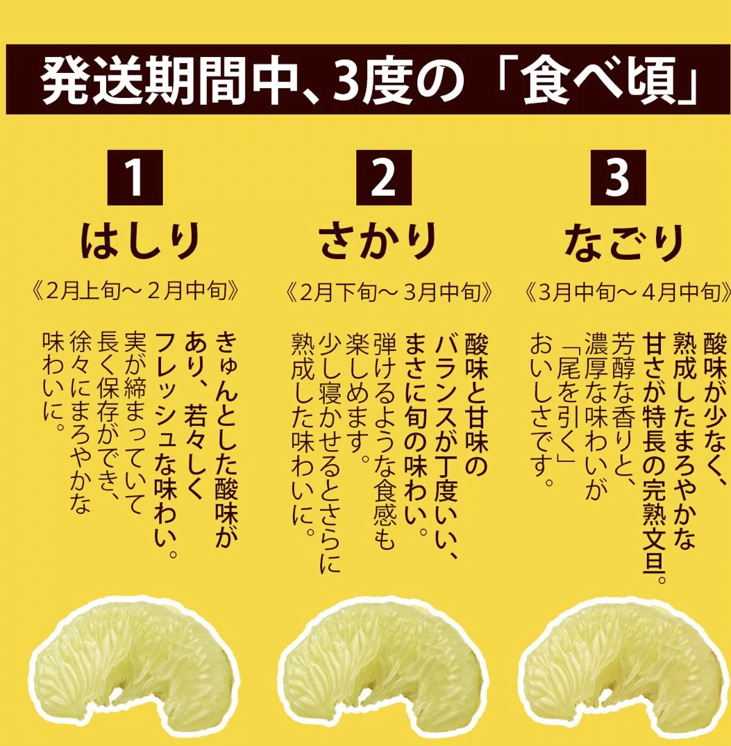 土佐文旦「愛」にあふれて! vol.29 はしり・さかり・なごり編|白木果樹園 園主