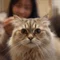 みい🐈