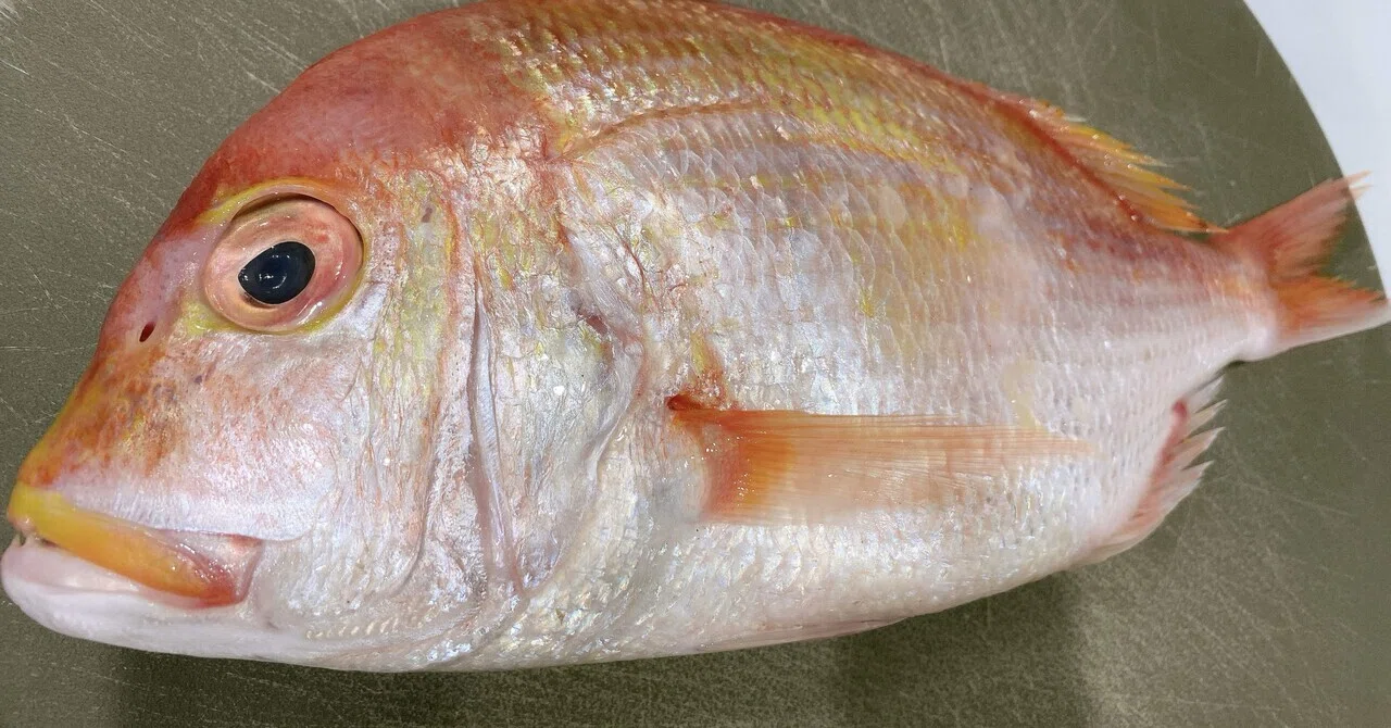 [Filleting Fish] Brighten up your dining table! Enjoy 