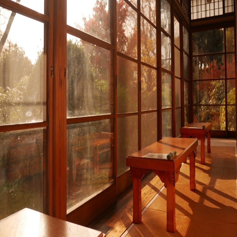 写真で自己紹介をする📷️｜Miz