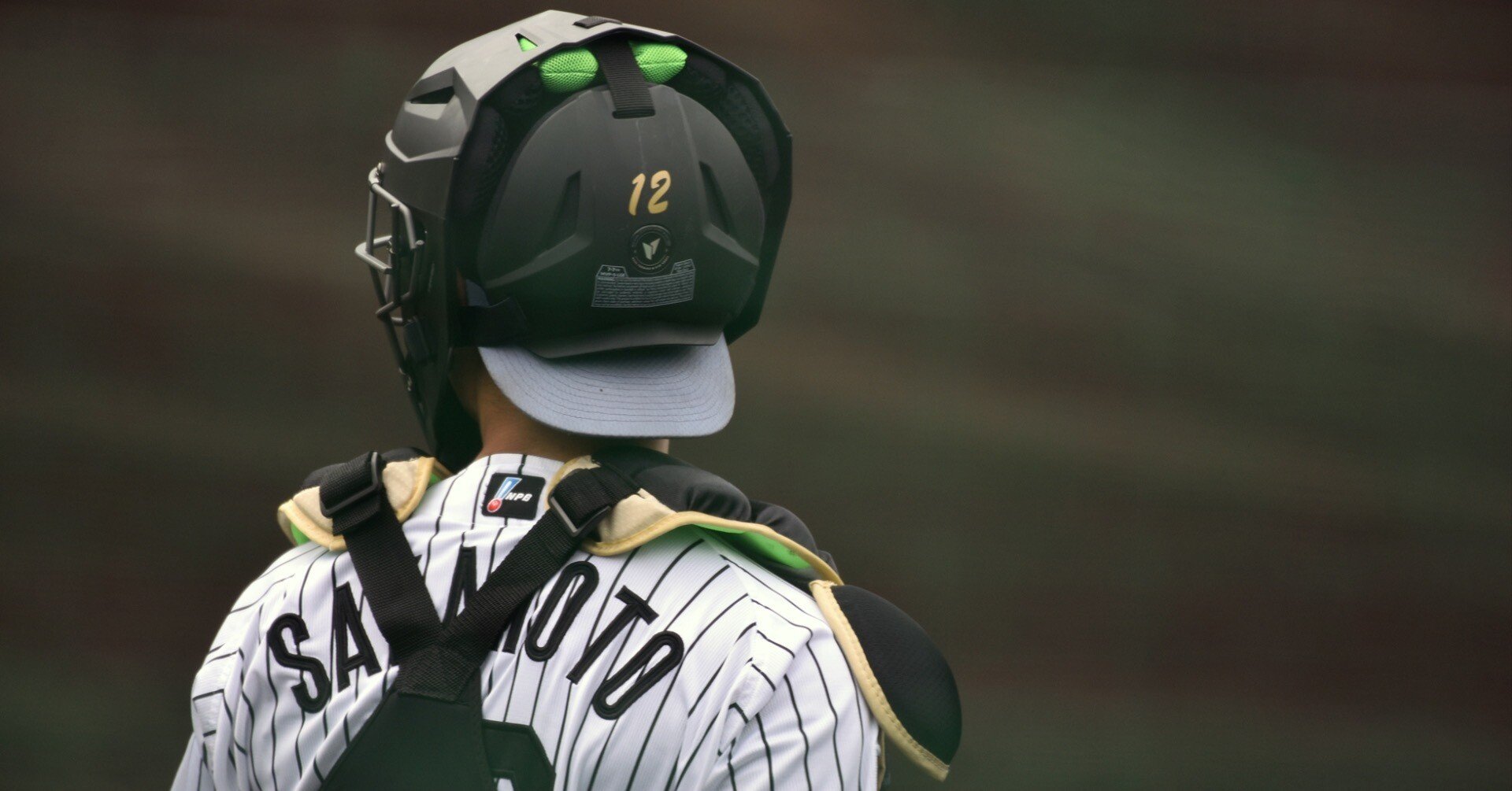 阪神タイガースの沖縄キャンプ2026を見てきたよー｜やじろべえの榎並