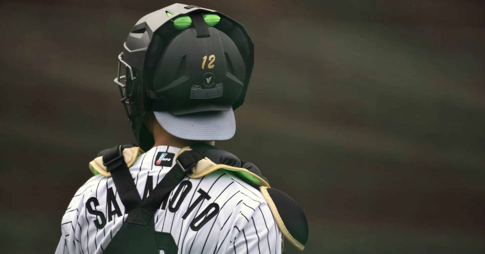 阪神タイガースの沖縄キャンプ2026を見てきたよー|やじろべえの榎並 阪神タイガースの沖縄キャンプ2026を見てきたよー|やじろべえの榎並
