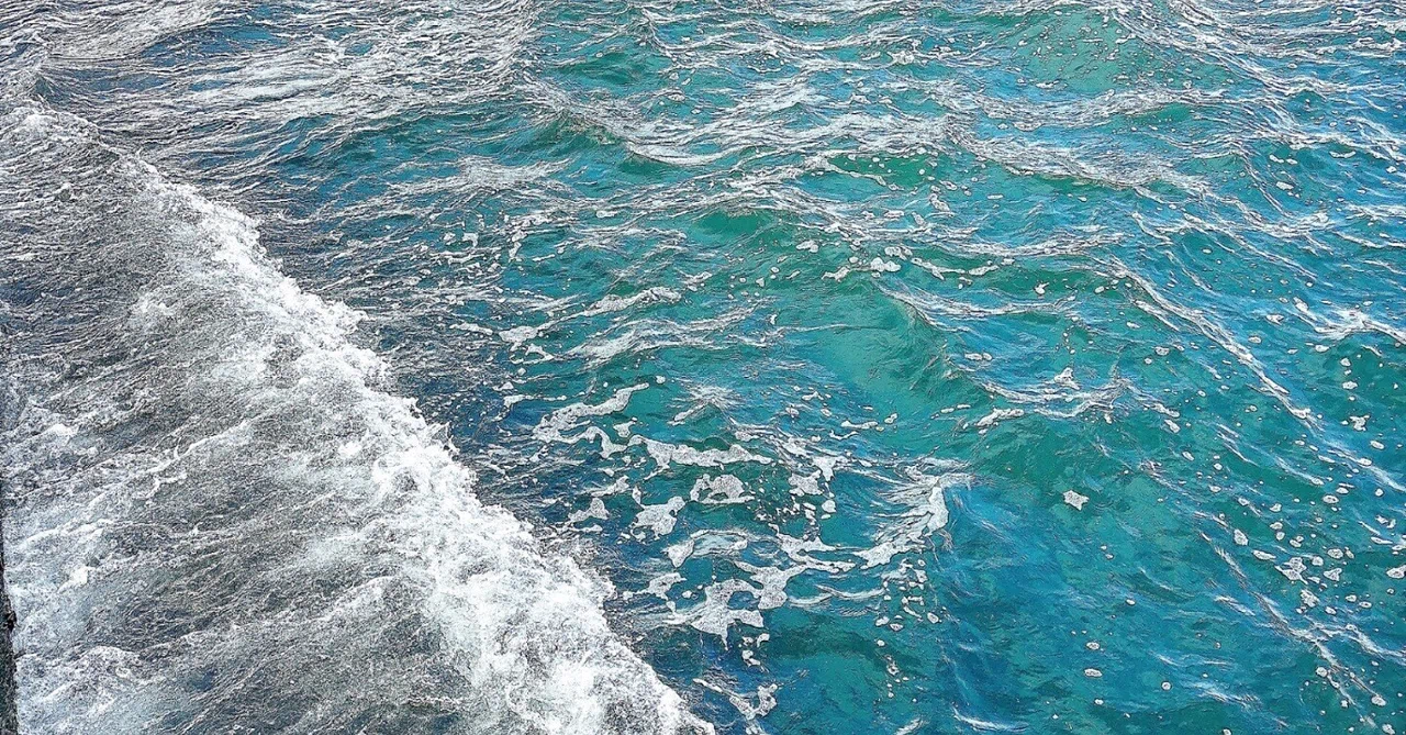 Today's Sea Blog: Too Much Preamble, No Time to Become a Philosopher of ...
