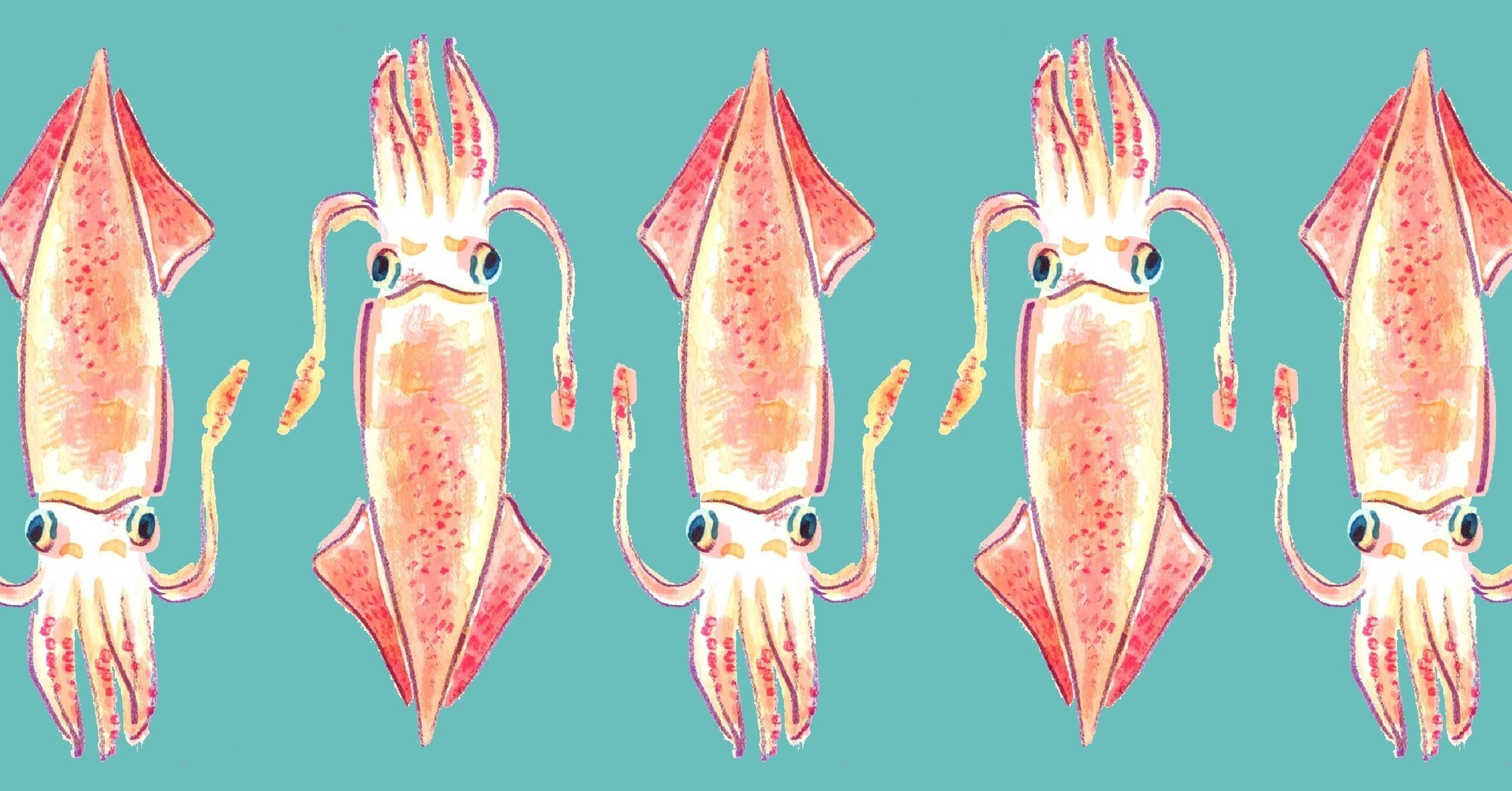 歩道という共有地でイカの専門家が本気を出した話 ほりまさたけ Note 歩道という共有地でイカの専門家が本気を出した話 ほりまさたけ Note