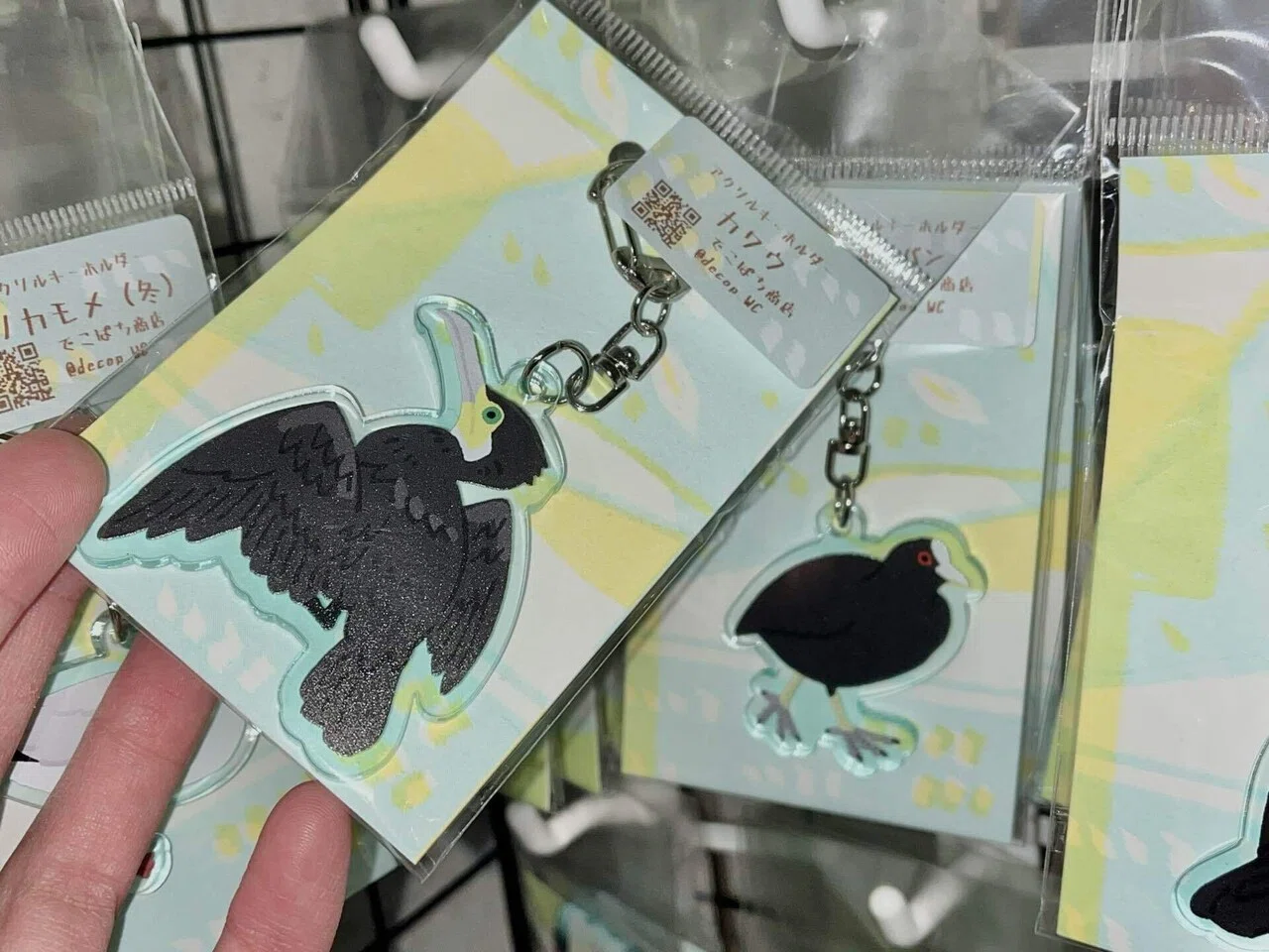 ZINEフェス！野鳥、体調など｜ぱち屋の裏で