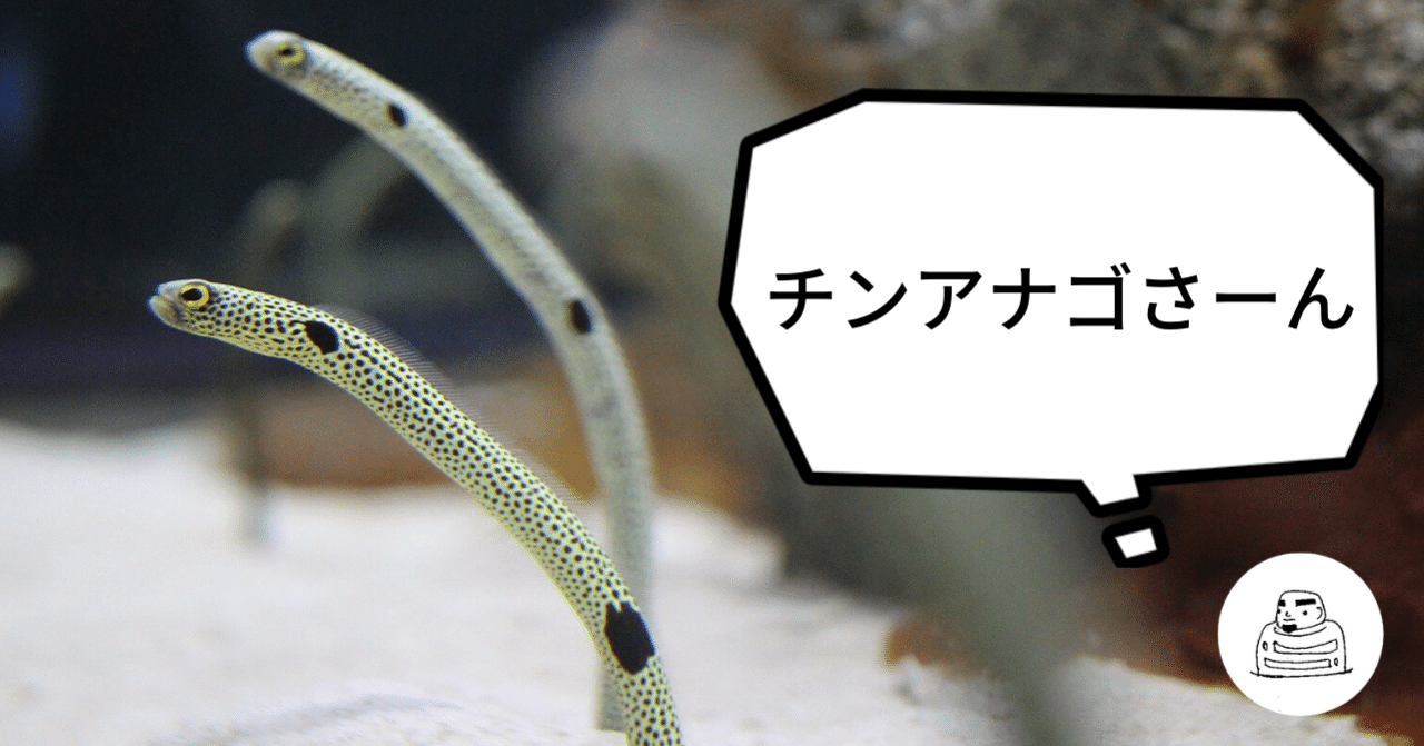 チンアナゴ顔見せ祭り に関する一考察 むぅ 色彩ハック研究家 修行中 Note
