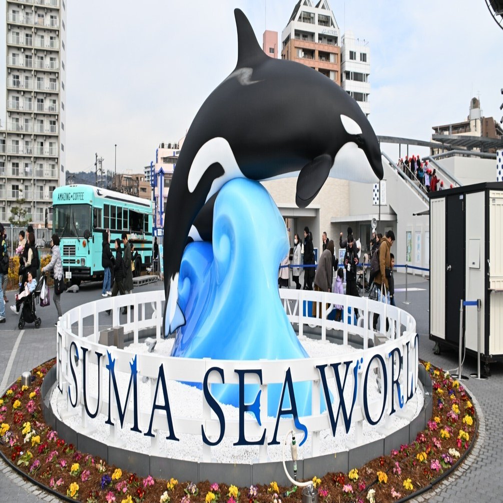 20260210_神戸須磨シーワールド【Nikon Z50IIと水族館】｜山ネズミ