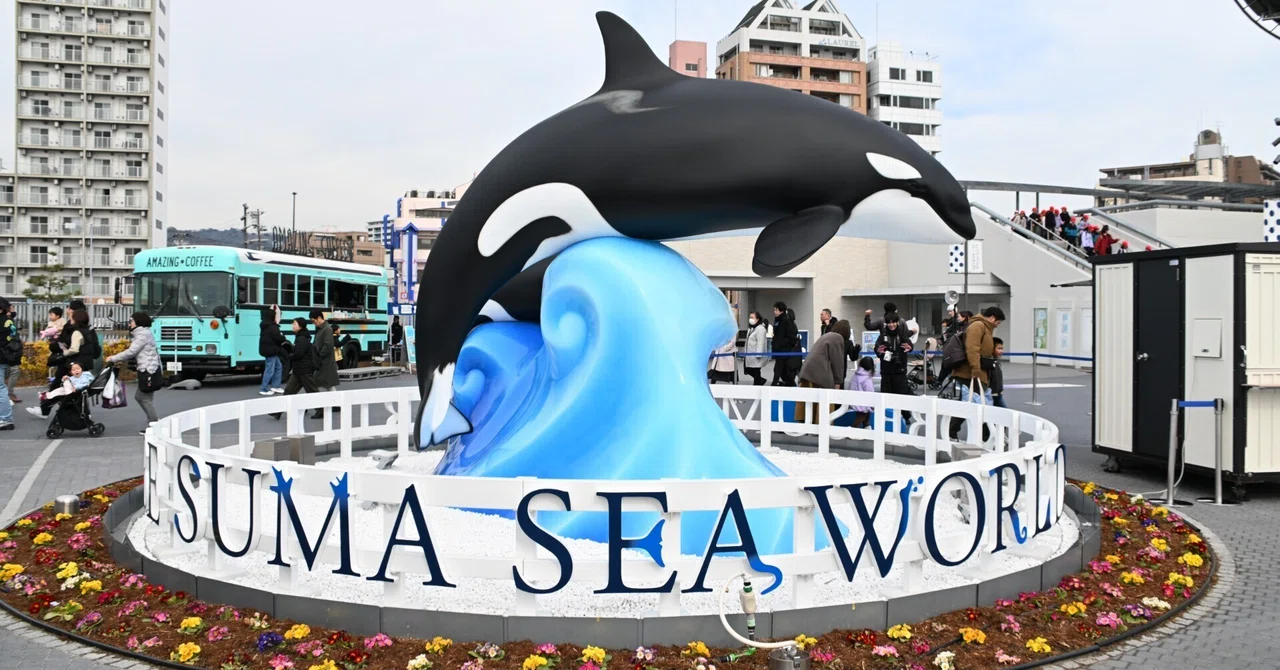 20260210_神戸須磨シーワールド【Nikon Z50IIと水族館】｜山ネズミ
