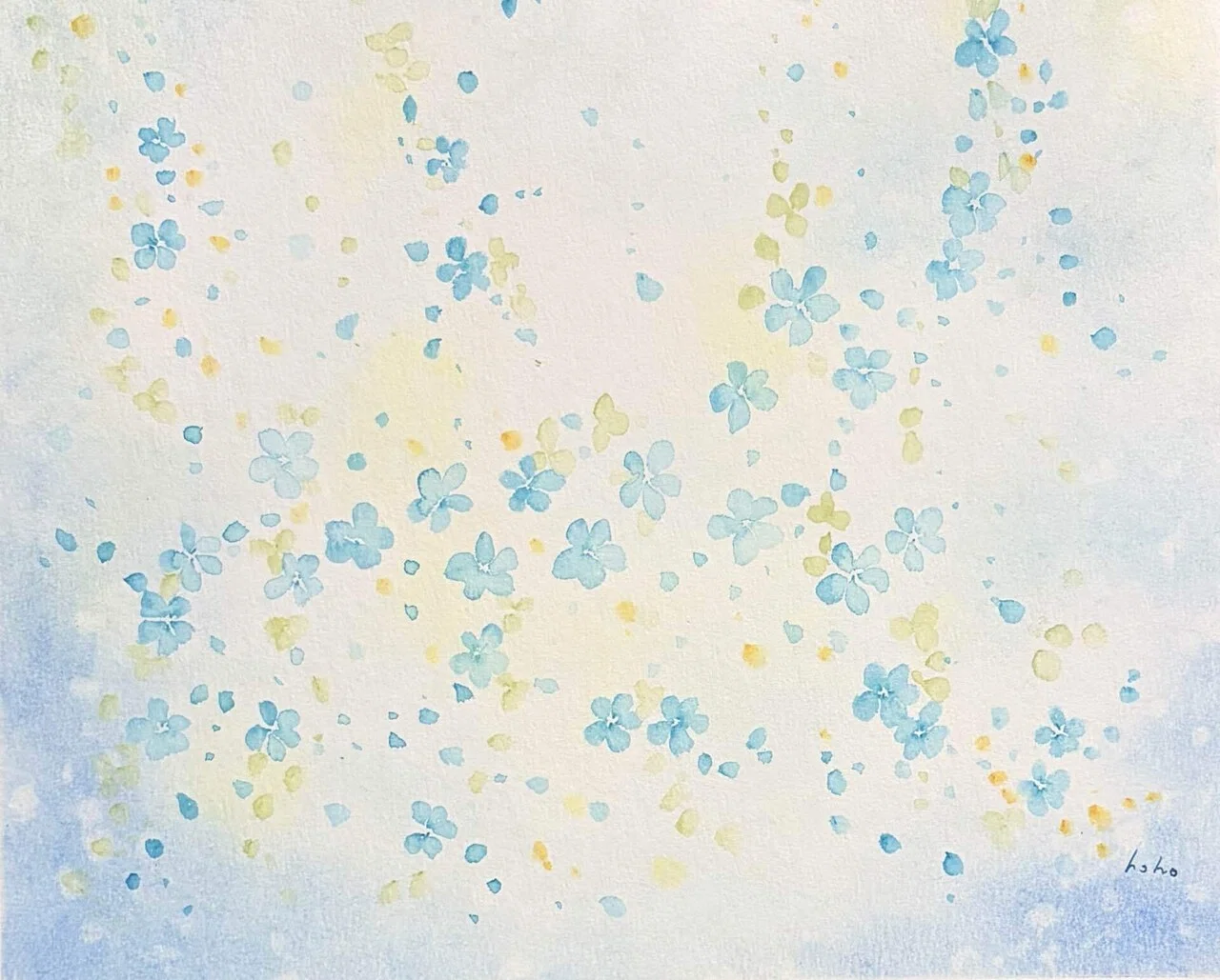 花しずく｜hoho