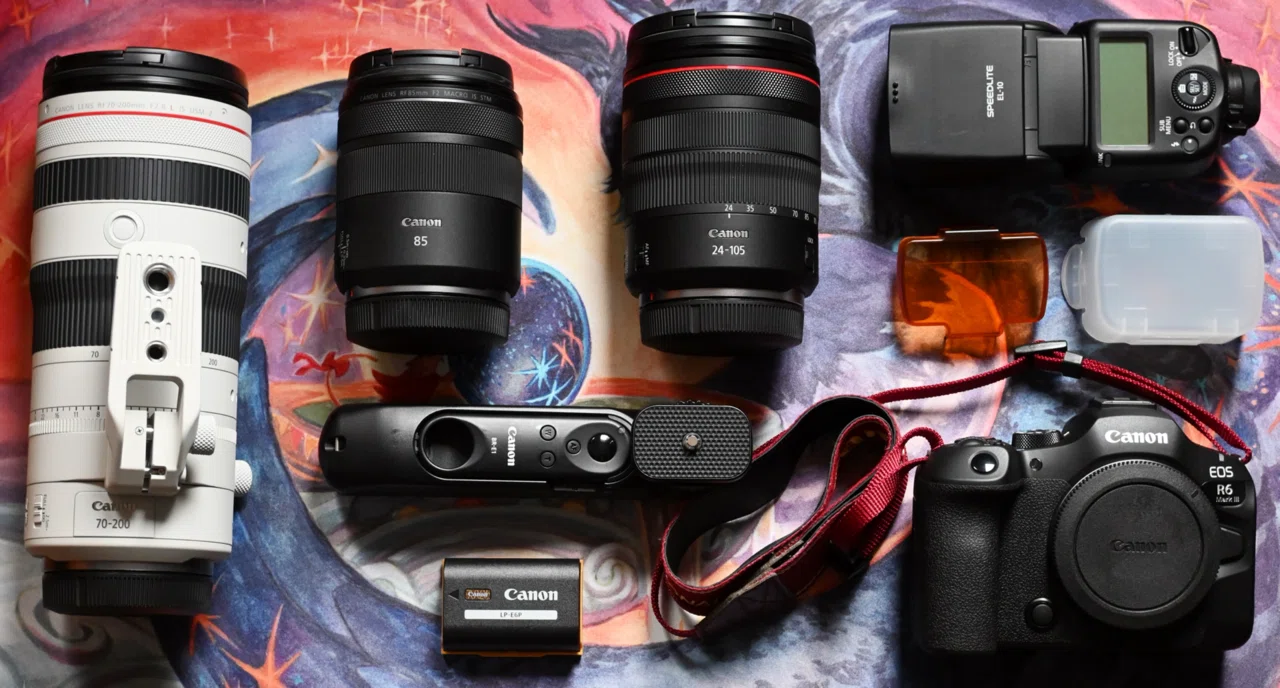 カメラ歴半年のビギナーが感じた、70-200mm F2.8レンズのメリット