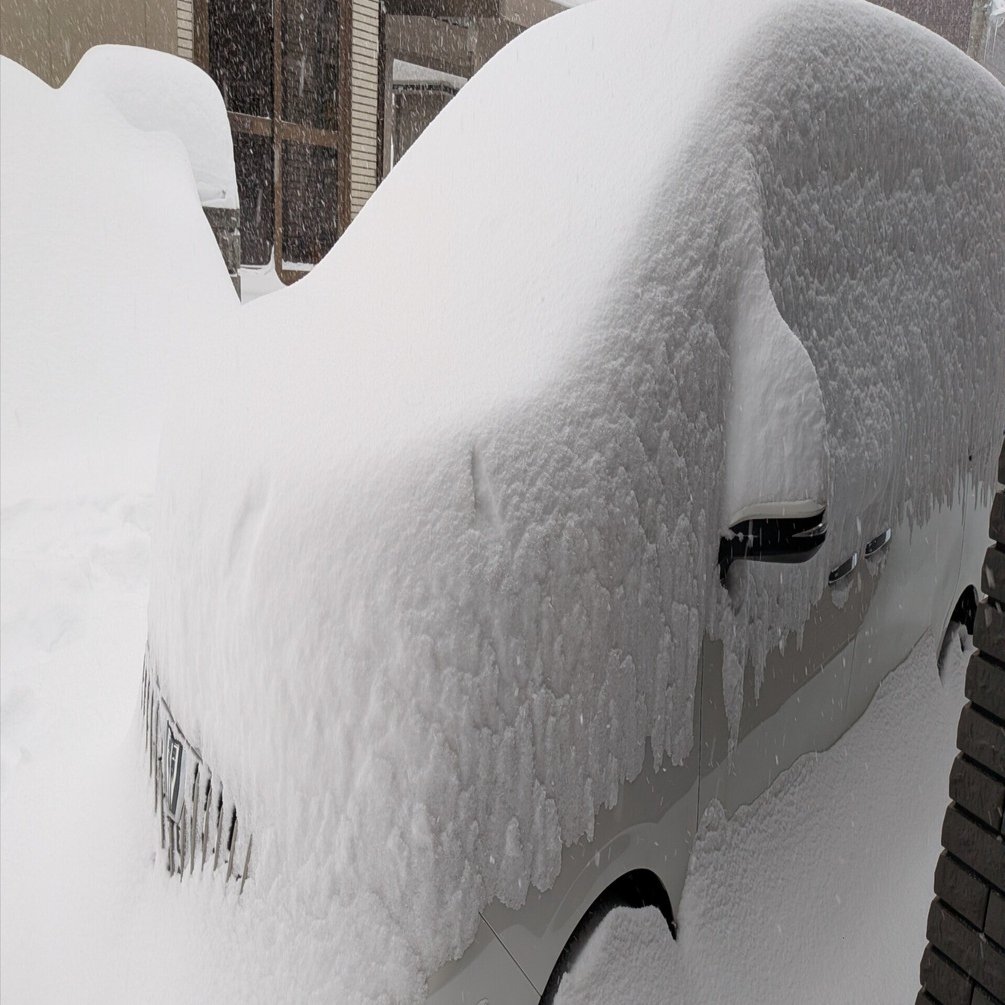 ペーパードライバー奮闘記⑰】本格的な冬到来。「雪山はコンクリートだ