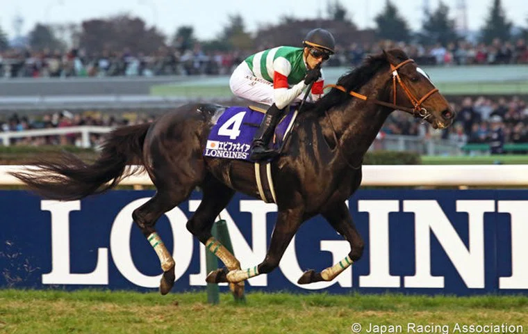 2月11日生まれ 🏇✨ 「遅咲きの王者」エピファネイア ～菊花賞から