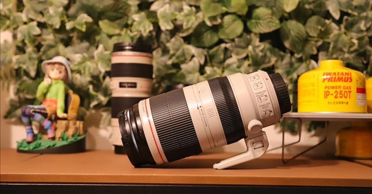 400mmの威力 【CANON】 EF100-400mm F4.5-5.6L IS II USM｜神楽坂
