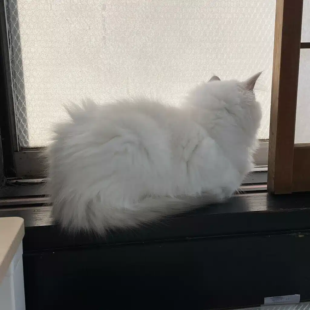 なっ。