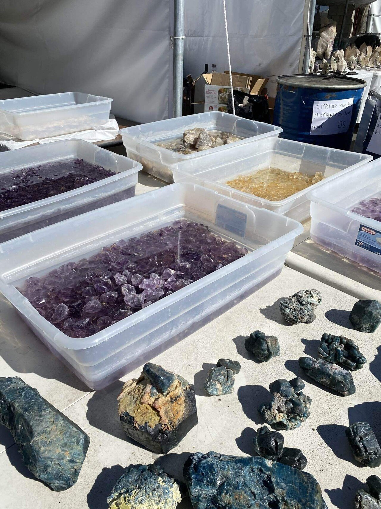 2022年2月に開催されたツーソン・ジェムショーへの旅行の記録です。私