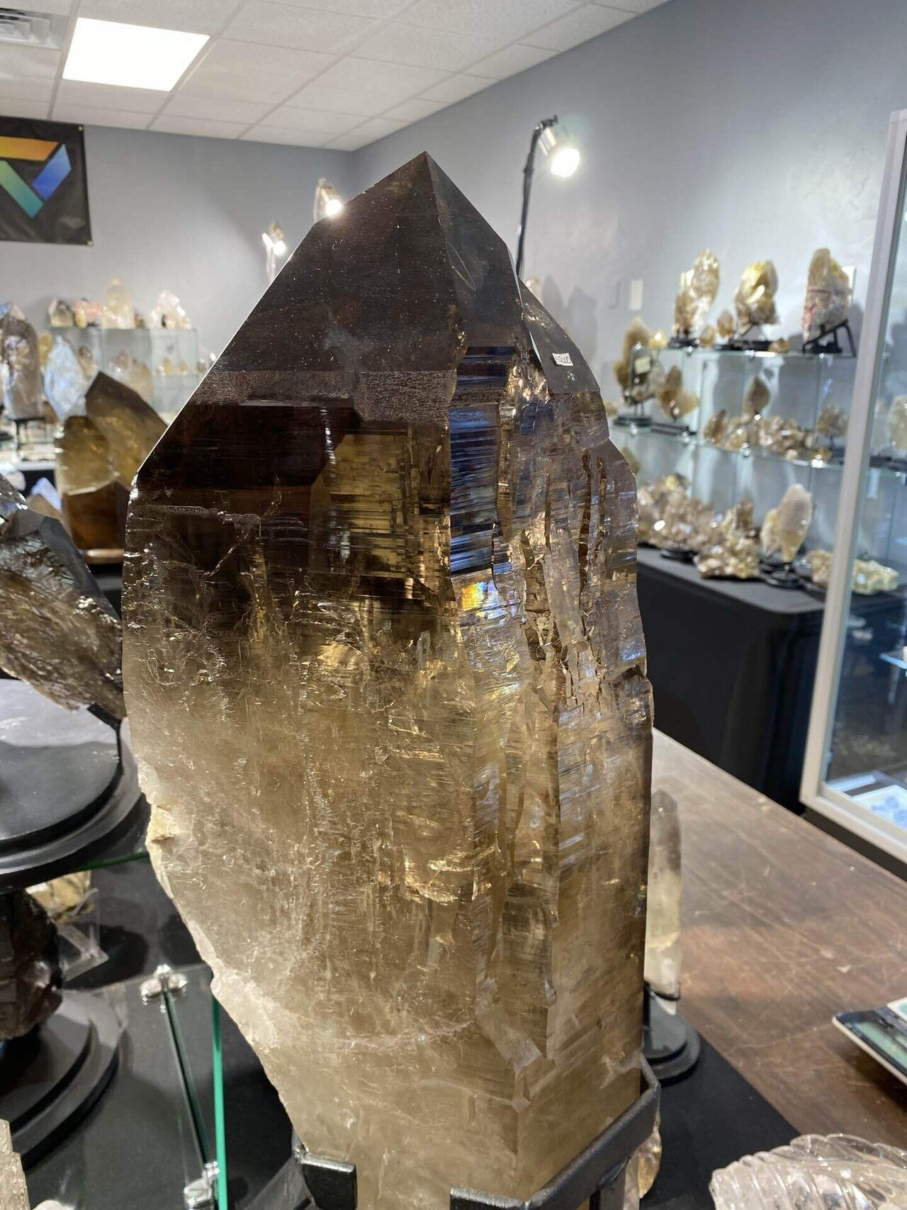 2022年2月に開催されたツーソン・ジェムショーへの旅行の記録です。私