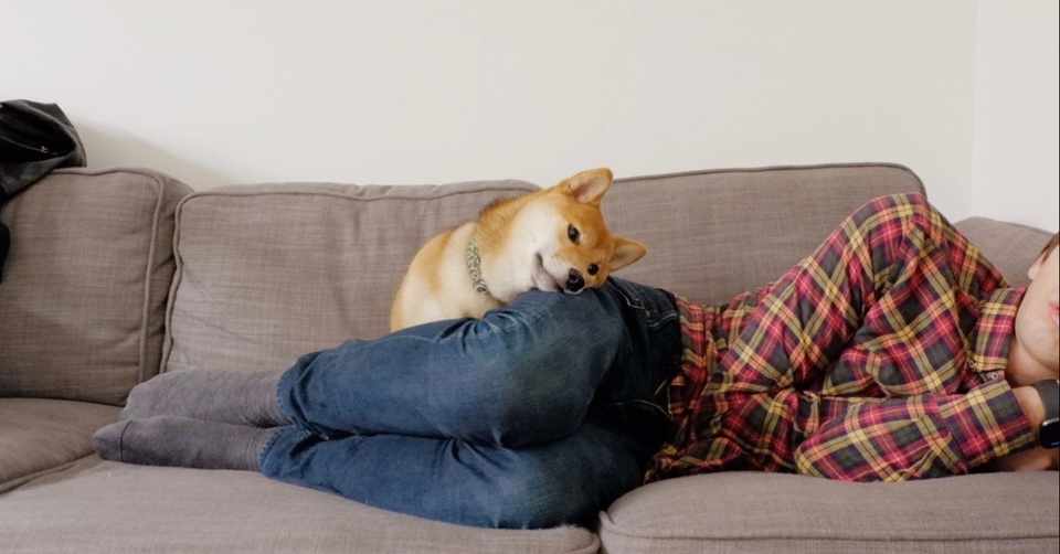 フランスの不思議な犬の名付けの決まり パリの柴犬ピスタッシュ Note