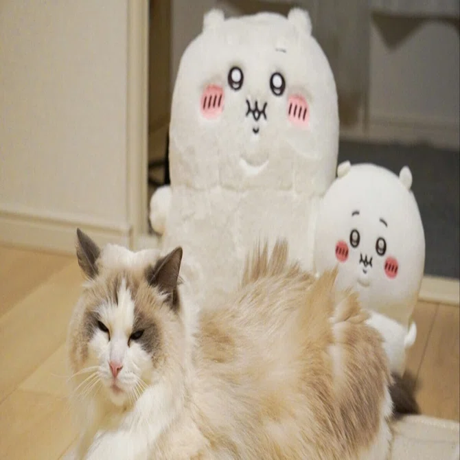ぼっちゃり