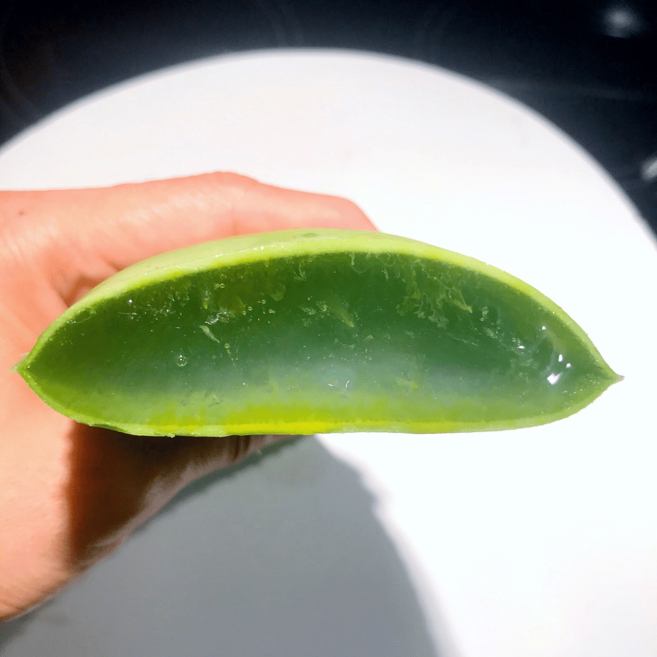 ビーチク野菜 Satokod Note ビーチク野菜 Satokod Note