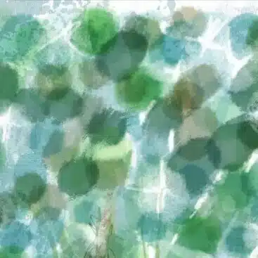 みづのね