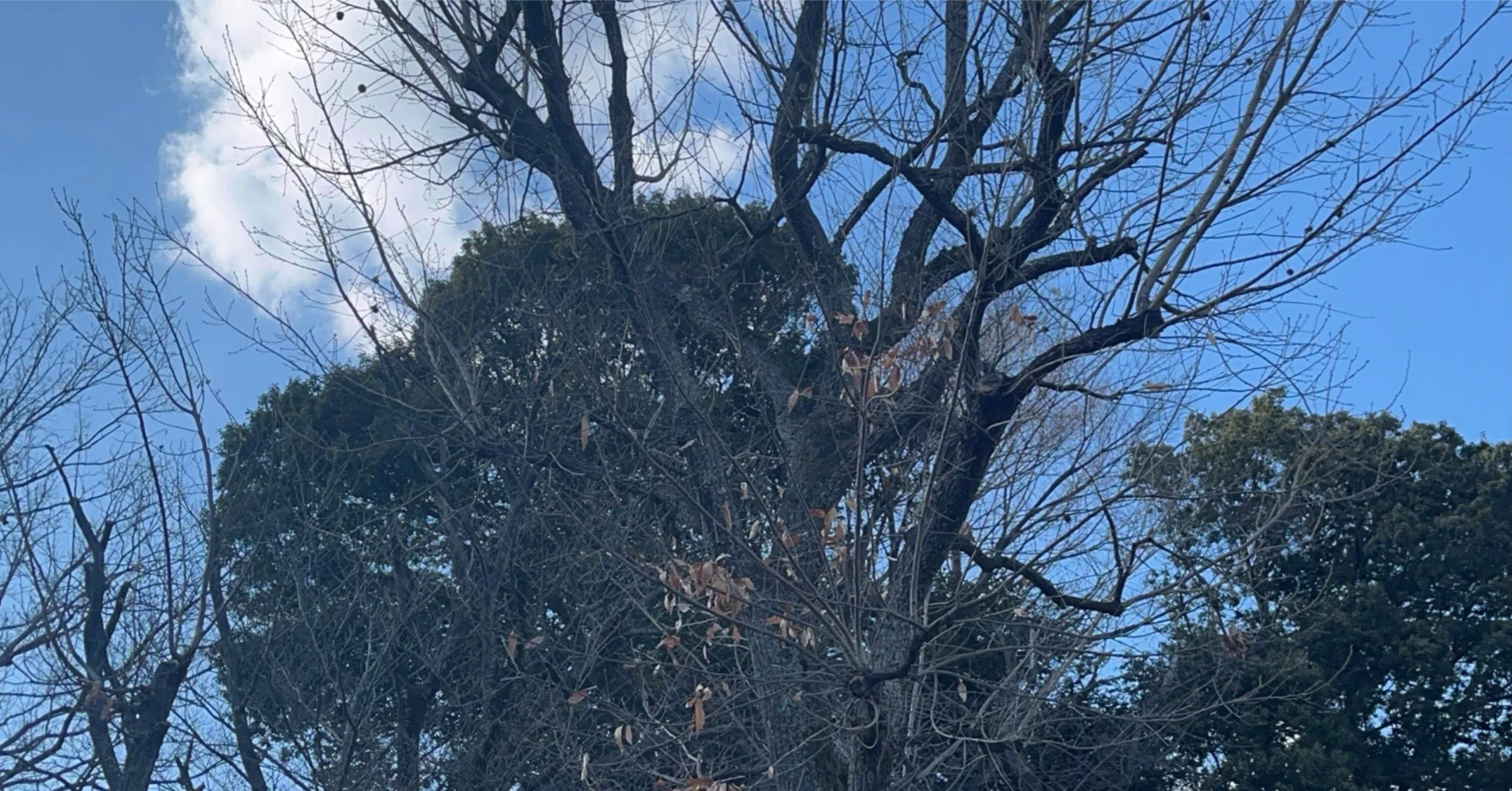 土星 人 マイナス 大 殺 界 いつ