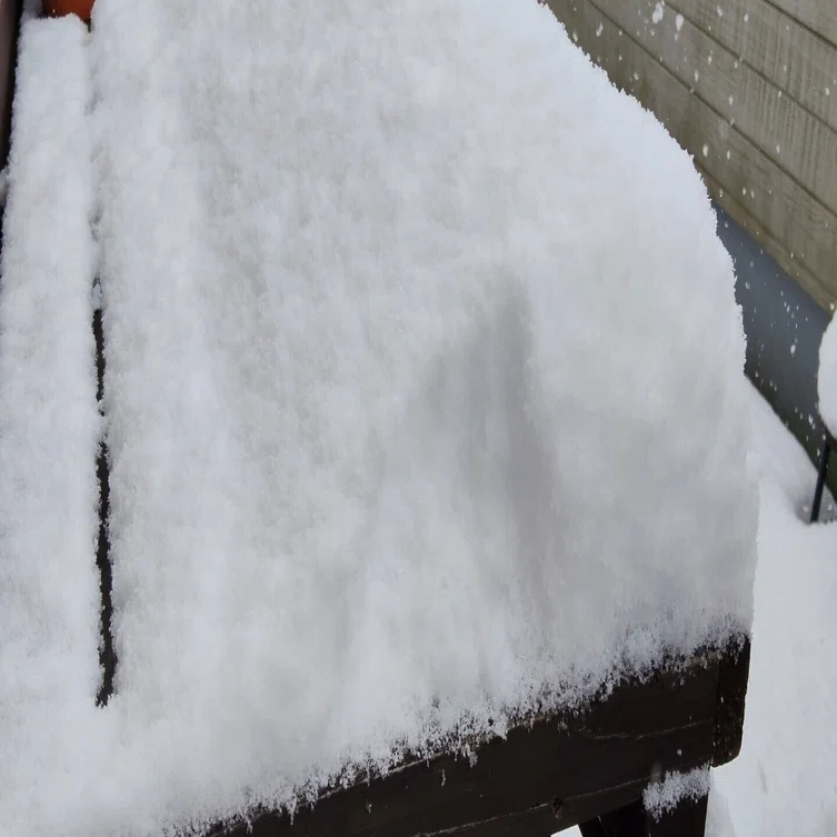 雪 雪は、欠員を隠せない｜ヲタク行政書士®榊原沙奈
