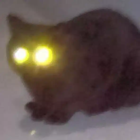 でぶらん