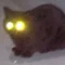 でぶらん