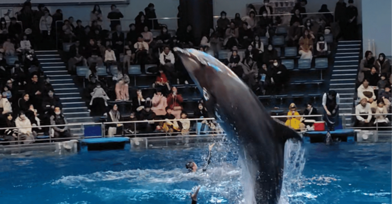 イルカショーを見に行ってきた話｜みーちゃん