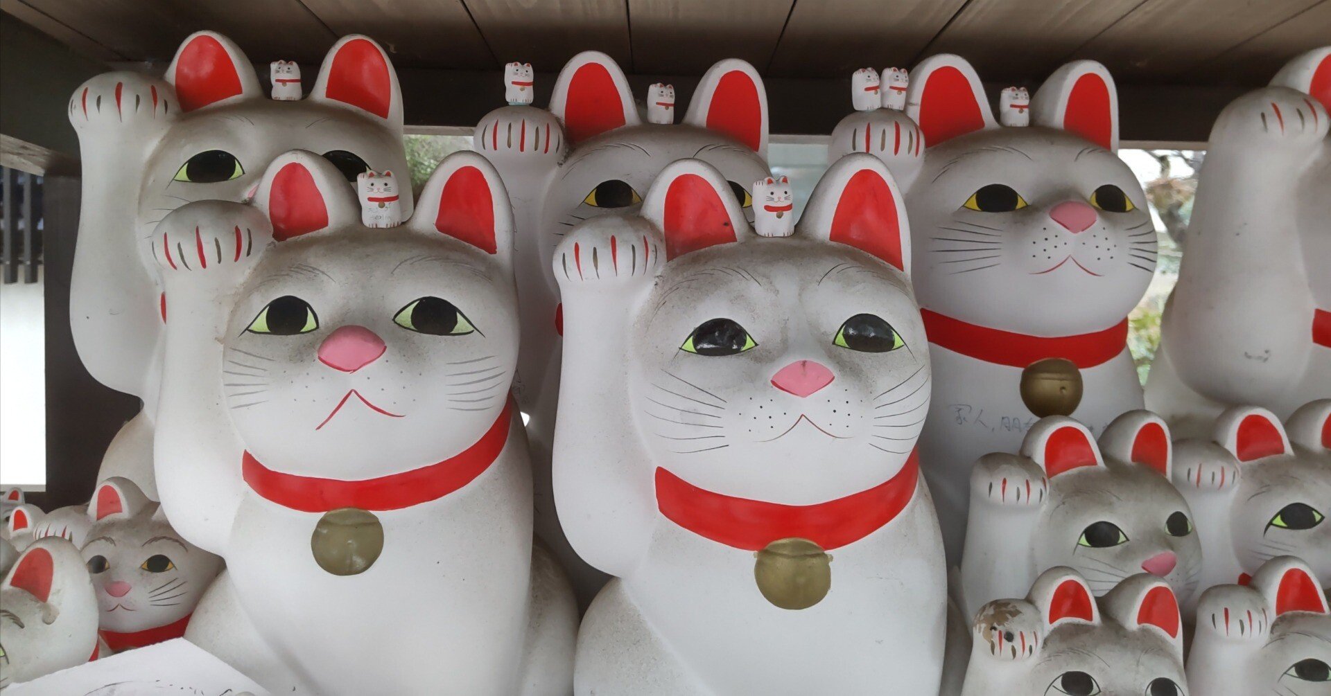 福が届きますように｜シニアメガネ