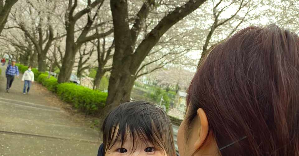 人生最後の日はアカギを模倣して生前葬をしたい ヤルヨ Note