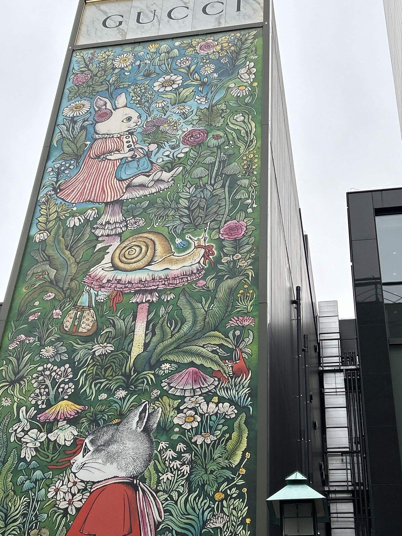 毎日美術⭐︎ヒグチユウコさんとGUCCI｜もちもち