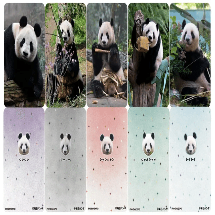 ウエノデ.パンダ春節祭2026｜上野案内所