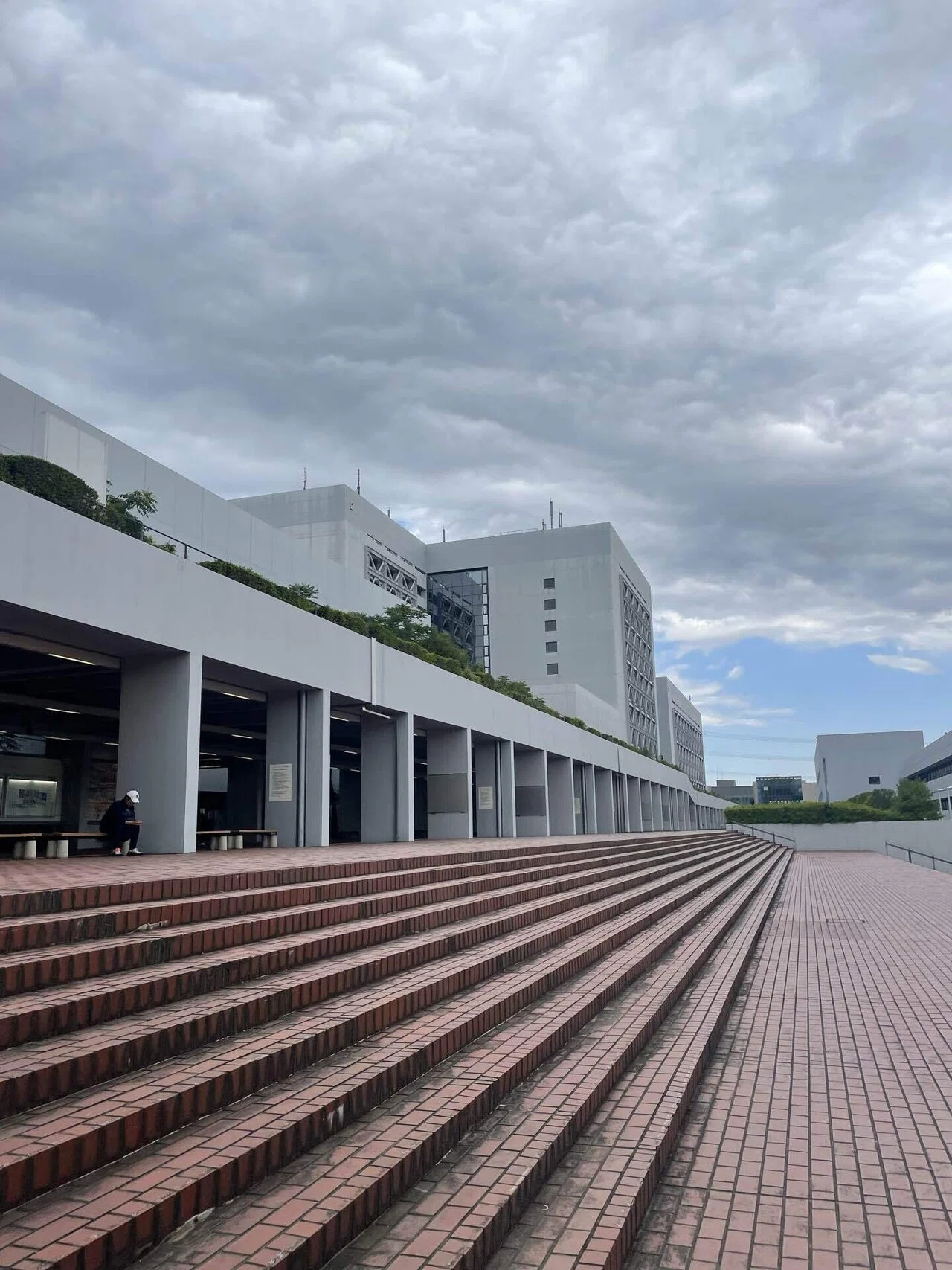 ステハゲ聖地巡礼記①｜バチャ山田キン