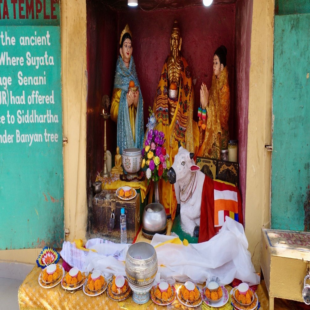 仏教のはじまりインド旅 5日め｜今日マチ子 / Kyo Machiko