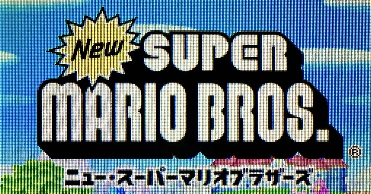 DS:14] Newスーパーマリオブラザーズと私。｜みんはい